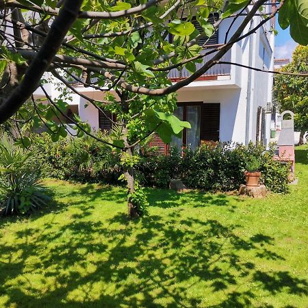 Holiday House Casa Maria 로비니 외부 사진